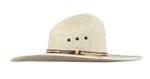 Straw Hat