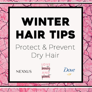 How To Manage Winter Hair dry hair
