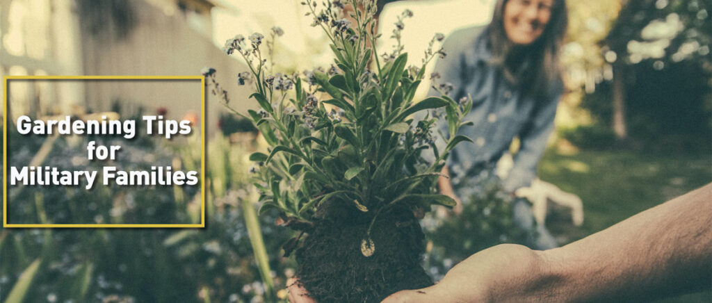 gardening tips