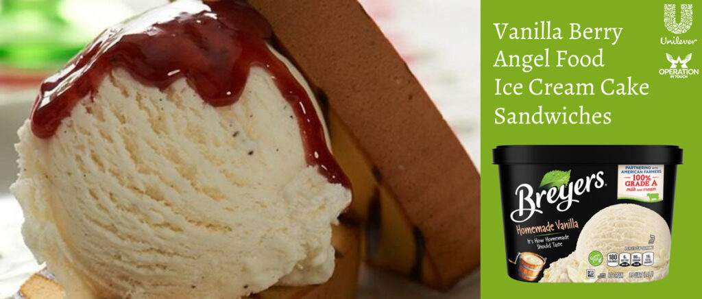 Breyers vanilla berry angel food ice cream sandwiches carousel