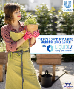 LIV planting your first edible garden article