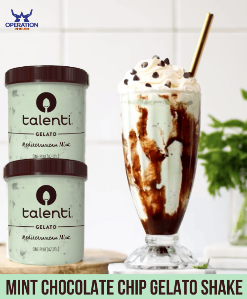 Talenti mint chocolate chip gelato shake article 2