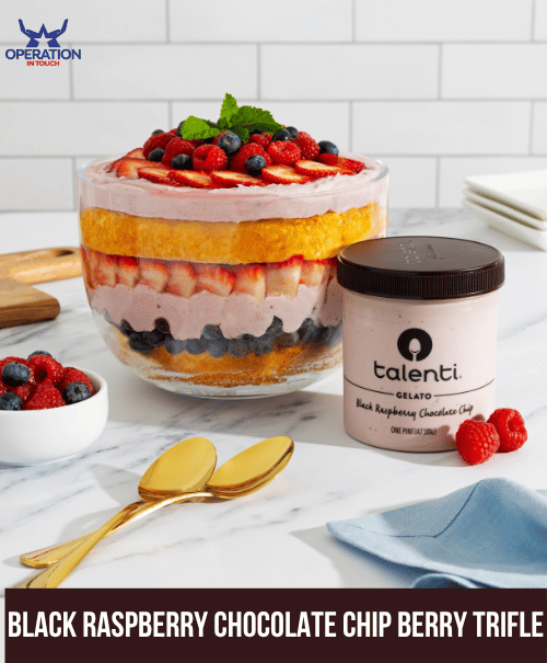 Talenti Black Raspberry Chocolate Chip Berry Trifle article